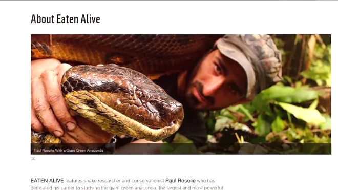 giant anaconda eats man alive